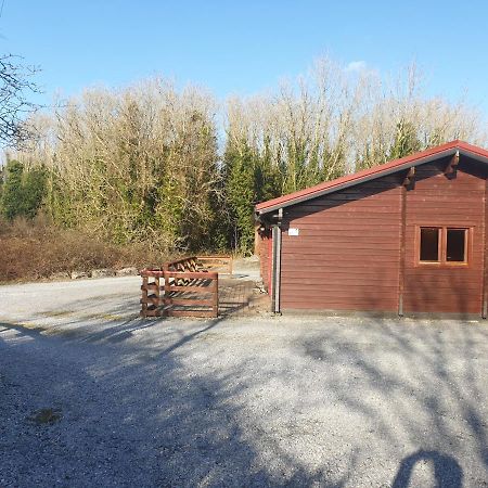 Red Squirrel Lodge 戈尔韦 外观 照片