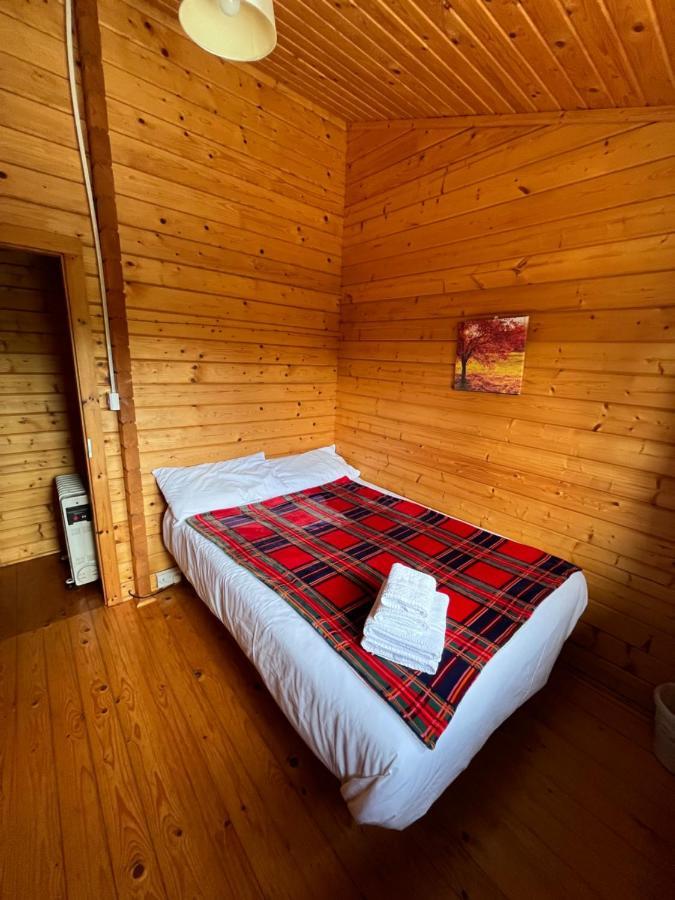 Red Squirrel Lodge 戈尔韦 外观 照片