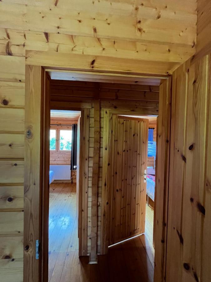 Red Squirrel Lodge 戈尔韦 外观 照片