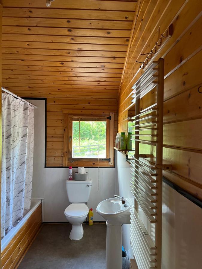 Red Squirrel Lodge 戈尔韦 外观 照片