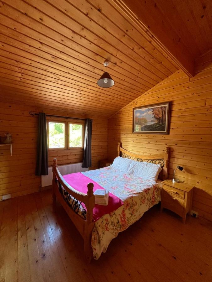 Red Squirrel Lodge 戈尔韦 外观 照片
