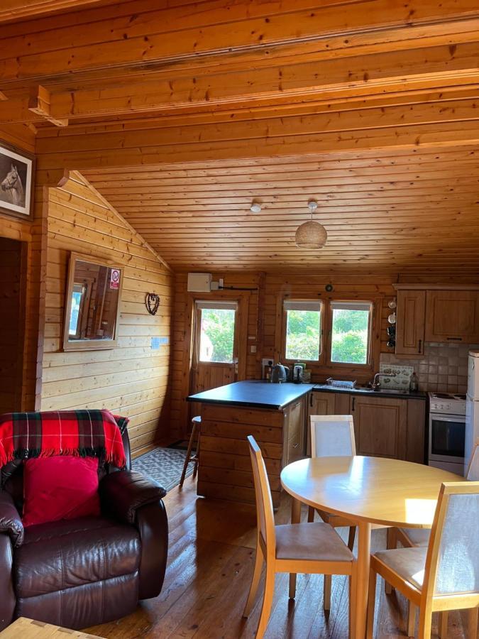 Red Squirrel Lodge 戈尔韦 外观 照片
