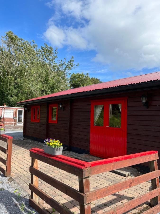 Red Squirrel Lodge 戈尔韦 外观 照片