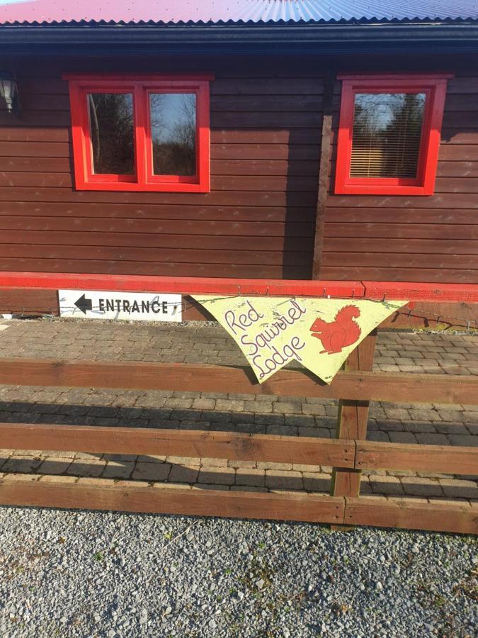 Red Squirrel Lodge 戈尔韦 外观 照片