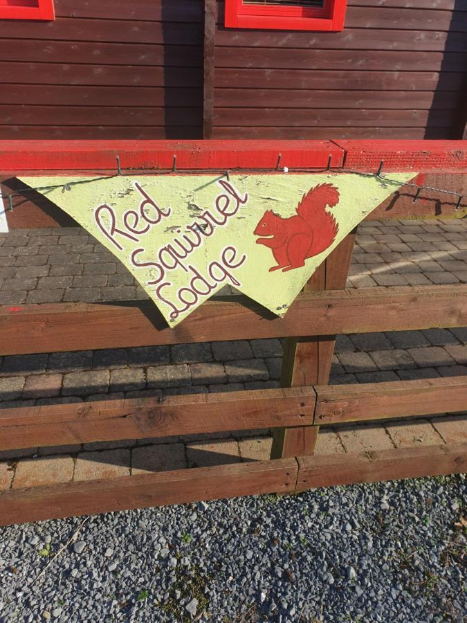 Red Squirrel Lodge 戈尔韦 外观 照片